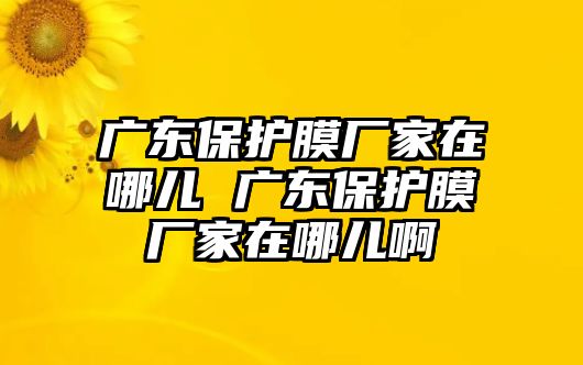廣東保護(hù)膜廠家在哪兒 廣東保護(hù)膜廠家在哪兒啊