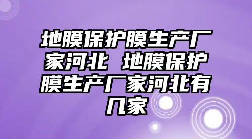 地膜保護膜生產(chǎn)廠家河北 地膜保護膜生產(chǎn)廠家河北有幾家