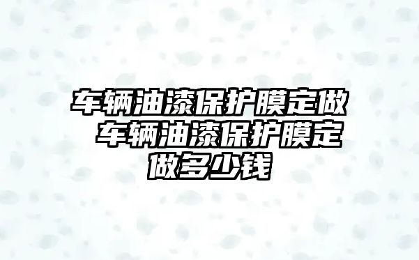 車輛油漆保護(hù)膜定做 車輛油漆保護(hù)膜定做多少錢