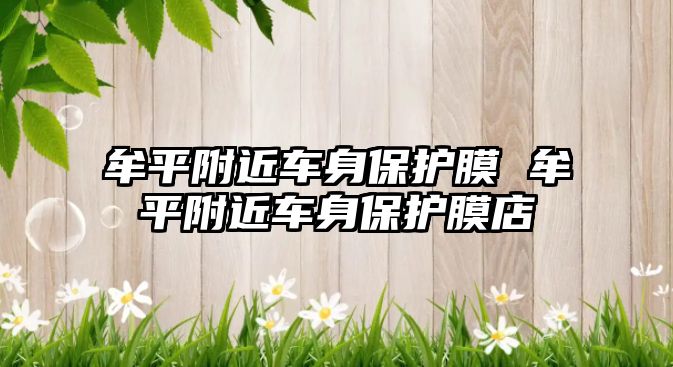 牟平附近車身保護(hù)膜 牟平附近車身保護(hù)膜店