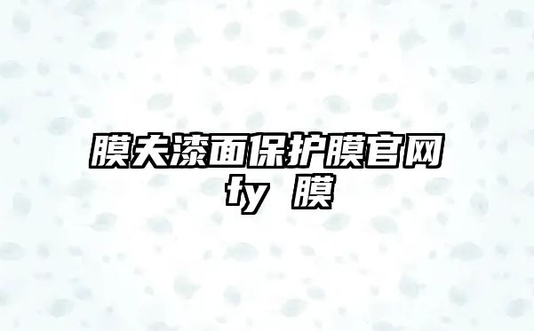 膜夫漆面保護膜官網(wǎng) fy 膜
