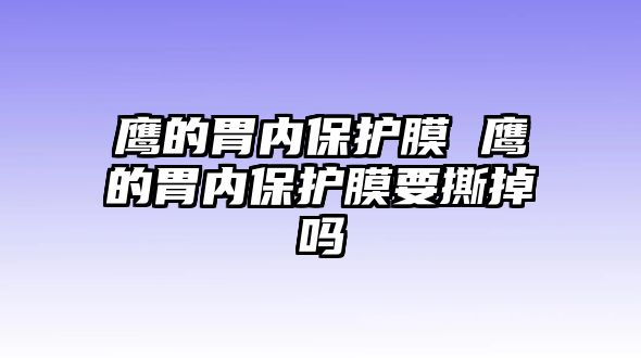 鷹的胃內(nèi)保護膜 鷹的胃內(nèi)保護膜要撕掉嗎